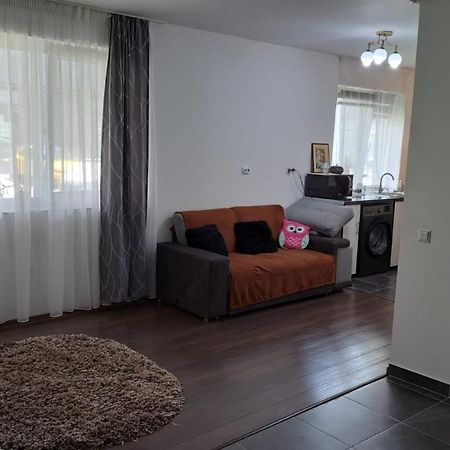Cozy Nest Leilighet Sinnicoara Eksteriør bilde